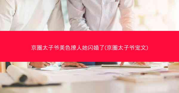 京圈太子爷美色撩人她闪婚了(京圈太子爷宠文)