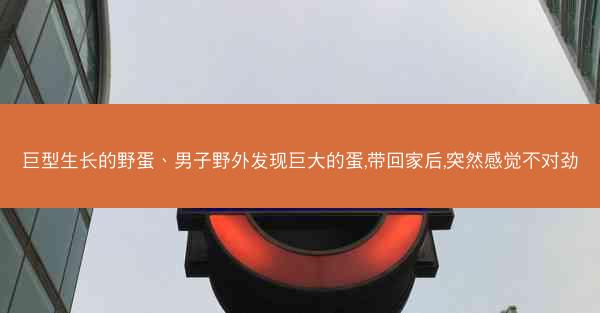 巨型生长的野蛋、男子野外发现巨大的蛋,带回家后,突然感觉不对劲 巨型生长的野蛋、男子野外发现巨大的蛋,带回家后,突然感觉不对劲