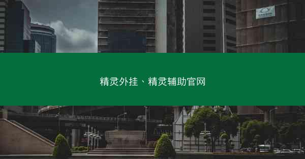 精灵外挂、精灵辅助官网