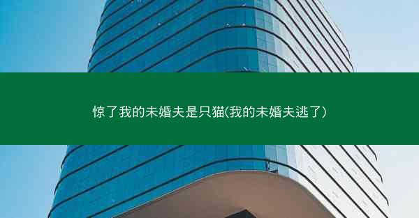 惊了我的未婚夫是只猫(我的未婚夫逃了)