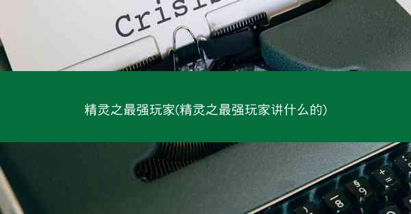 精灵之最强玩家(精灵之最强玩家讲什么的)