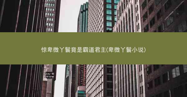 惊卑微丫鬟竟是霸道君主(卑微丫鬟小说)