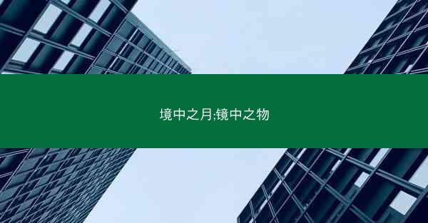 境中之月;镜中之物