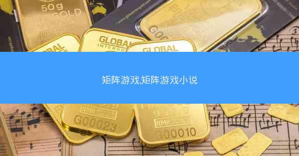 矩阵游戏,矩阵游戏小说