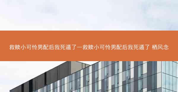 救赎小可怜男配后我死遁了—救赎小可怜男配后我死遁了 栖风念