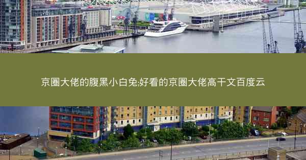京圈大佬的腹黑小白兔;好看的京圈大佬高干文百度云