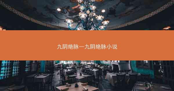九阴绝脉—九阴绝脉小说