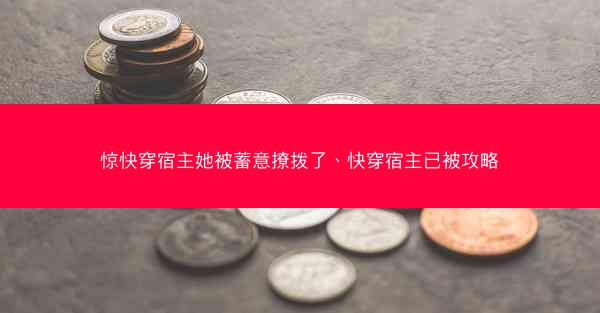 惊快穿宿主她被蓄意撩拨了、快穿宿主已被攻略
