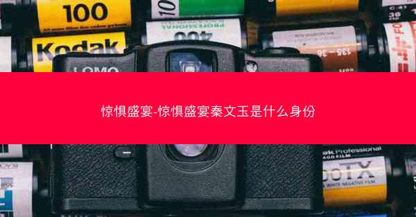 惊惧盛宴-惊惧盛宴秦文玉是什么身份