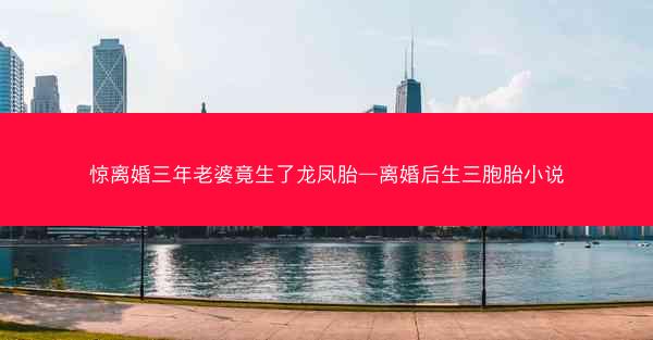 惊离婚三年老婆竟生了龙凤胎—离婚后生三胞胎小说 惊离婚三年老婆竟生了龙凤胎—离婚后生三胞胎小说