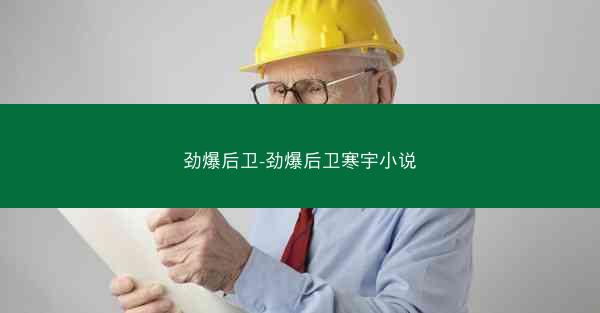 劲爆后卫-劲爆后卫寒宇小说