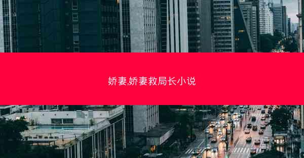 娇妻,娇妻救局长小说