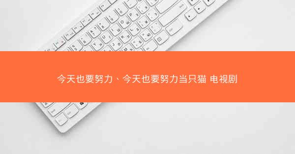 今天也要努力、今天也要努力当只猫 电视剧