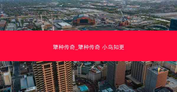 犟种传奇_犟种传奇 小鸟知更
