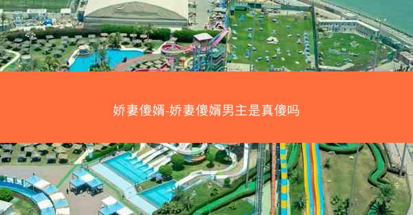 娇妻傻婿-娇妻傻婿男主是真傻吗