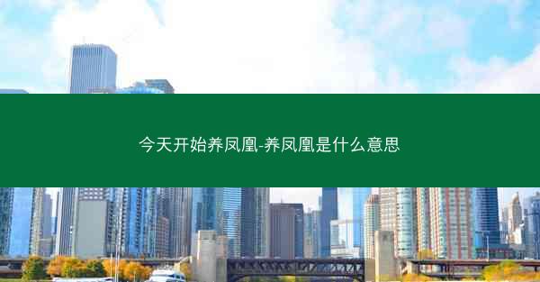 今天开始养凤凰-养凤凰是什么意思