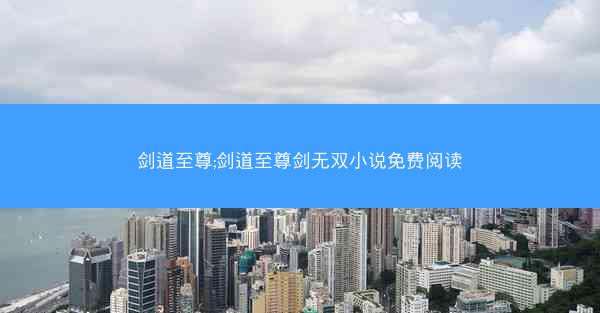 剑道至尊;剑道至尊剑无双小说免费阅读