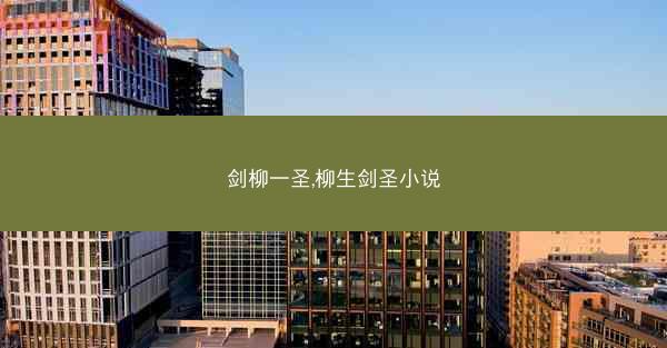 剑柳一圣,柳生剑圣小说