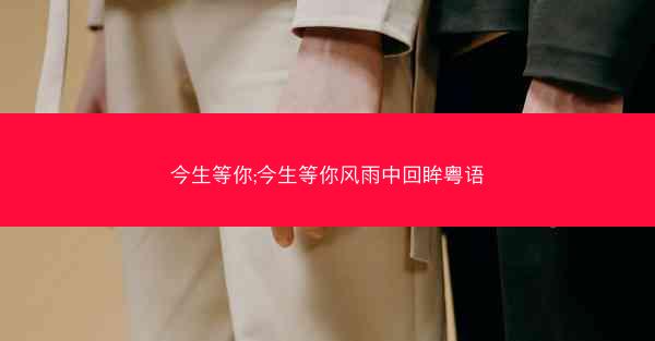 今生等你;今生等你风雨中回眸粤语