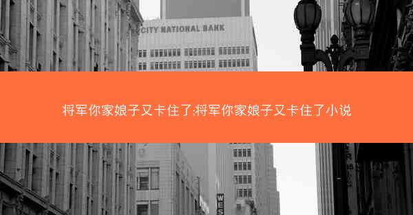 将军你家娘子又卡住了;将军你家娘子又卡住了小说